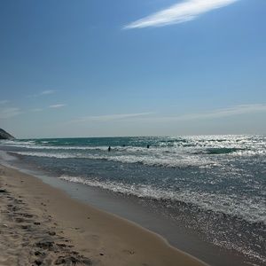 Meet your Posher, Dee